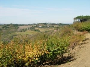 Funghi e Serra in autunno 009