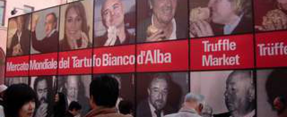 Alba 010 Alba 010