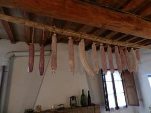 Maiale 028