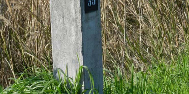 Ancora sul caso Avastin Cotignola 021