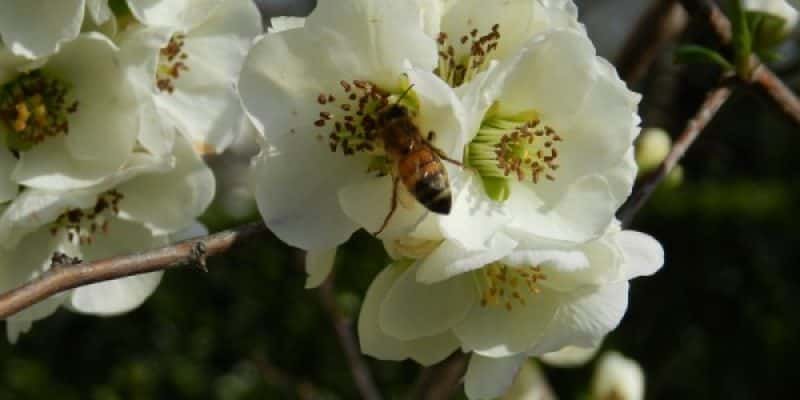Sicurezza via Emilia, le misure ipotizzate non bastano Primavera