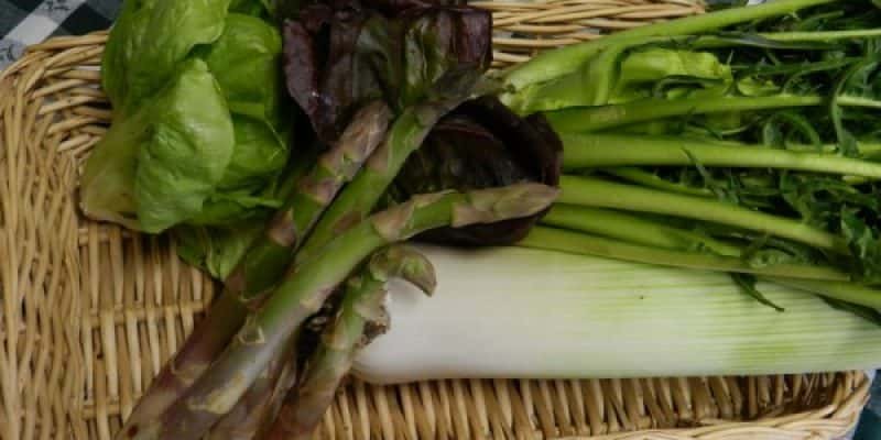 L'orto garantisce cibo fresco tutto l'anno Serra 020
