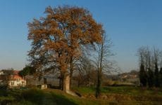 La presa del canale dei Molini